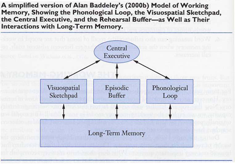 Working Memory Model with Episodic Buffer & Long-Term Memory 67 AB A precedes B? T or F B is preceded by A. T or F B does not precede A.