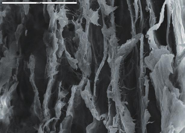 Resorbable organic membrane Native collagen (pericarduim) Fully resorbed Barrier function Alpha-Bio's GRAFT Collagen Fleece is a ph-neutral, wet-stable, haemostatic native collagen sponge.