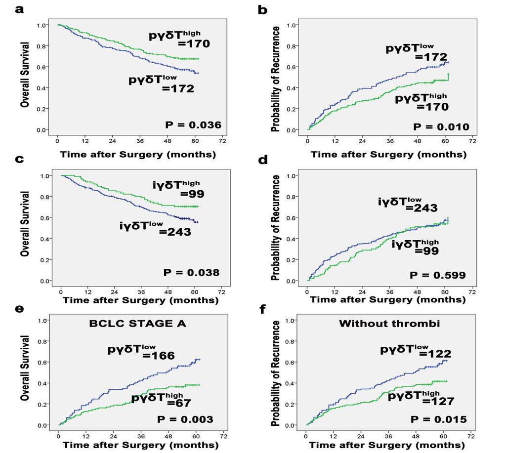 Xiao-Yan Cai et al Table 2. Univariate and Multivariate Analyses of γδt Associated with Recurrence and Survival Variables TTR OS Univariate Multivariate Univarate Multivariate P value H.R. (95% CI) P value P value H.