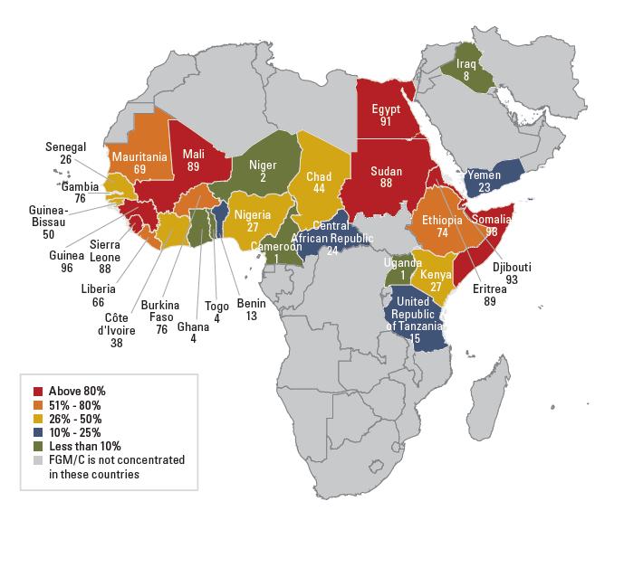 PREVALENCE OF FGM AMONG WOMEN AGED 15-49 IN AFRICA AND THE MIDDLE EAST Source: UNICEF (July 2013), global databases