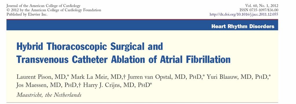 26 consecutive patients 42% with persistent atrial fibrillation 23%