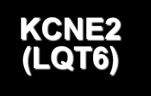 KCNE1 (LQT5) KCNE2 (LQT6) KCNQ1 (LQT1)