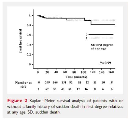 Role of Family History in Risk of Sudden Death in BrS