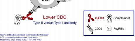 binds to CD30 ADC-CD30 complex is internalized and traffics to lysosome CD-30 MMAE is