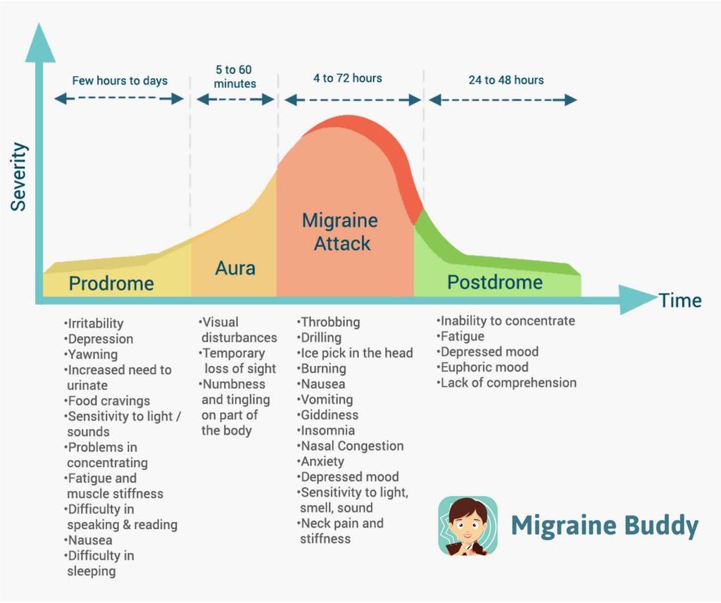 Phases of Migraine Migraine is divided into four phases, all of which may be present during the attack: Premonitory symptoms occur up to 24 hours prior to developing a migraine.