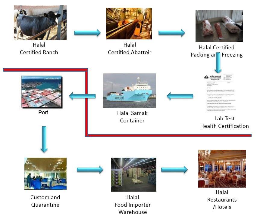 3. Halal Logistics Halal Value Chain From farm to fork