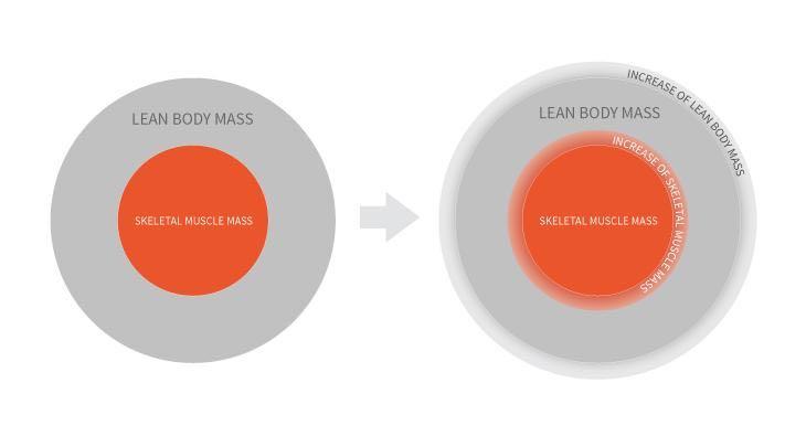 Some people refer to this as "gaining lean mass" or "lean gains." However, it doesn t work the other way: an increase of Lean Body Mass is not always an increase in muscle.