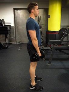 Push your hips backwards and lower the dumbbells keeping them close or in contact with the front of your legs at all times.