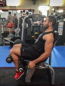1. HAMSTRING CURL 3 x 15 reps 60 seconds Swiss ball leg curl, Hip thrust Note: You can use a seated or lying hamstring