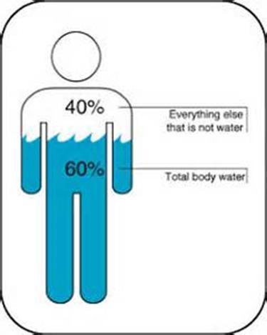 Total body water contents Percentage of total body water depends on age, gender, weight and percent of body