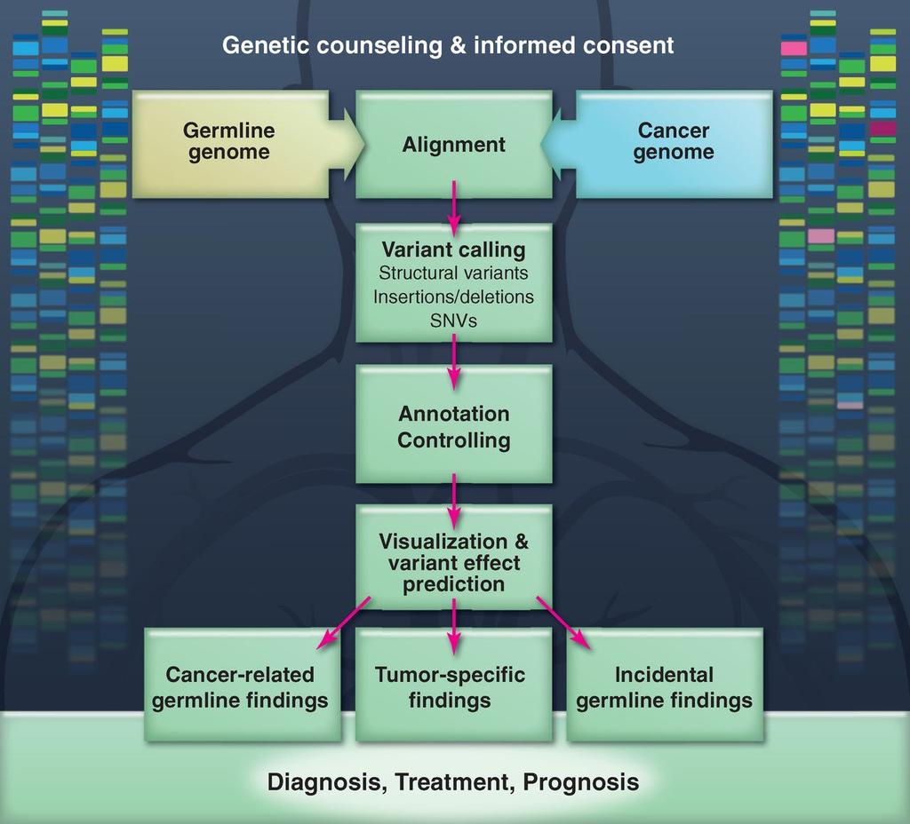Fig. 1 Flow chart of the genome analysis for a cancer patient.
