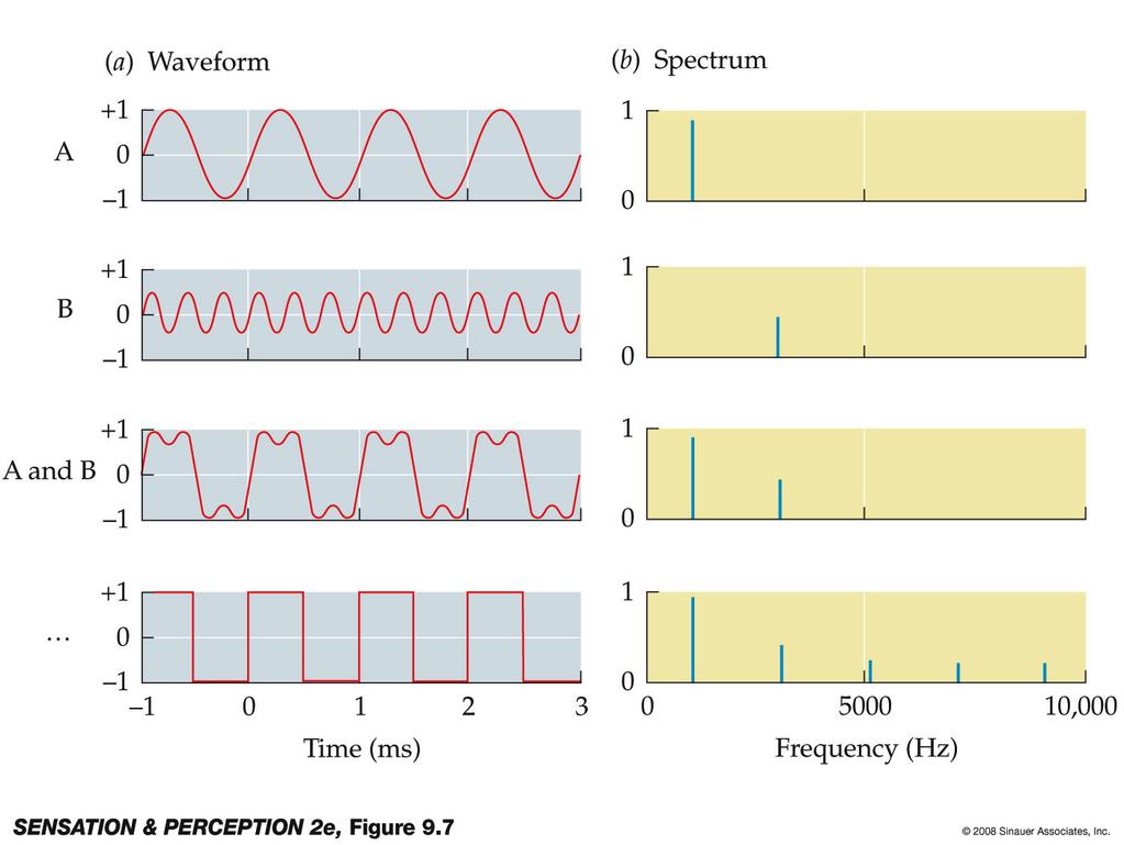 Fourier spectrum: shows the amplitude for each