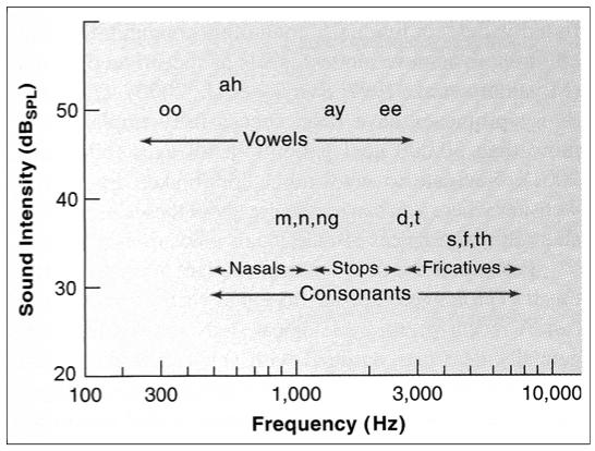 Species variability Many animals can hear sounds at frequencies that we cannot Speech sounds Speech sounds