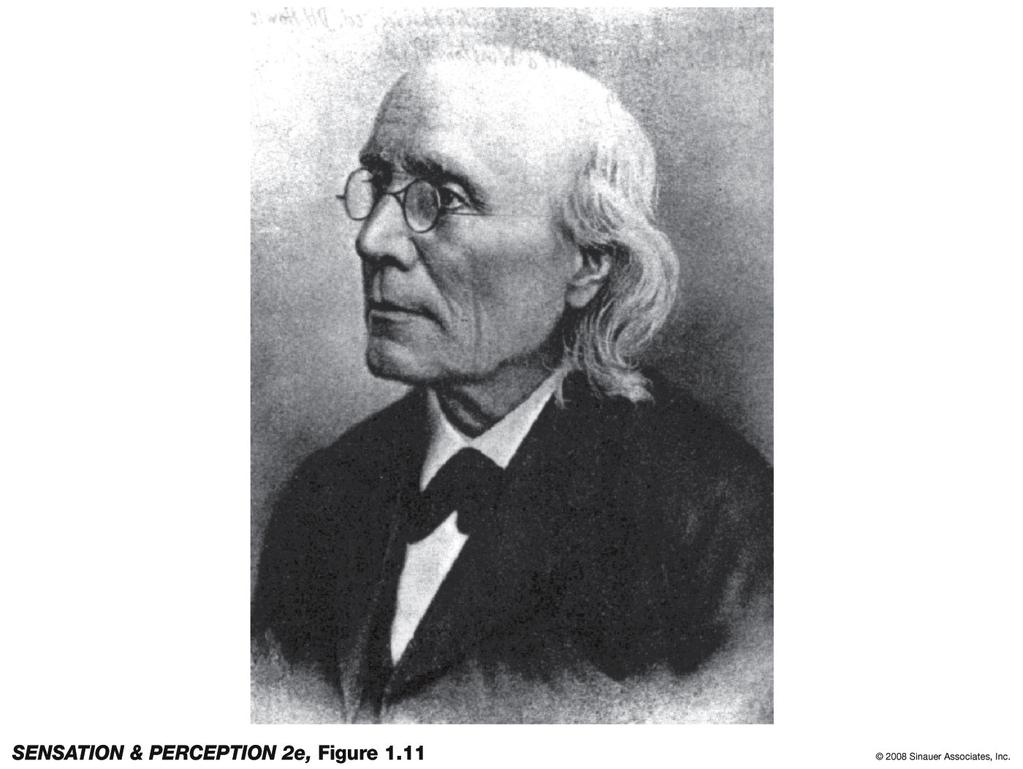The Dawn of Psychophysics Gustav Fechner (1801 1887) often considered founder of experimental