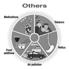 fungi, molds, yeasts Occupational exposures Irritants - Airway pollutants - Tobacco smoke (Passive/active smoking) LPBoulet 21 Risk factors for exacerbations and hospital admissions in asthma of