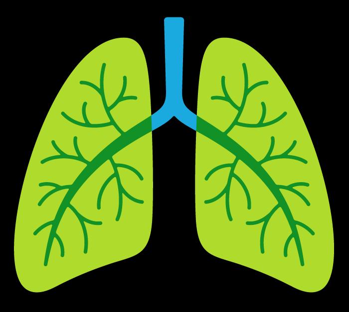Definition of Asthma Asthma is a common chronic disorder of the airways that is complex and multifactorial.