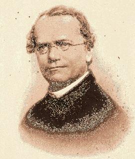 Patterns of Inheritance Game Plan Overview of patterns of inheritance Determine how some genetic disorders are inherited Gregor Mendel (8-88) Austrian monk