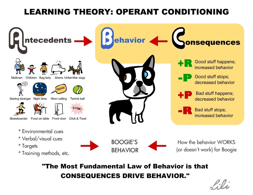 OPERANT CONDITIONING We learn as a result of reward and