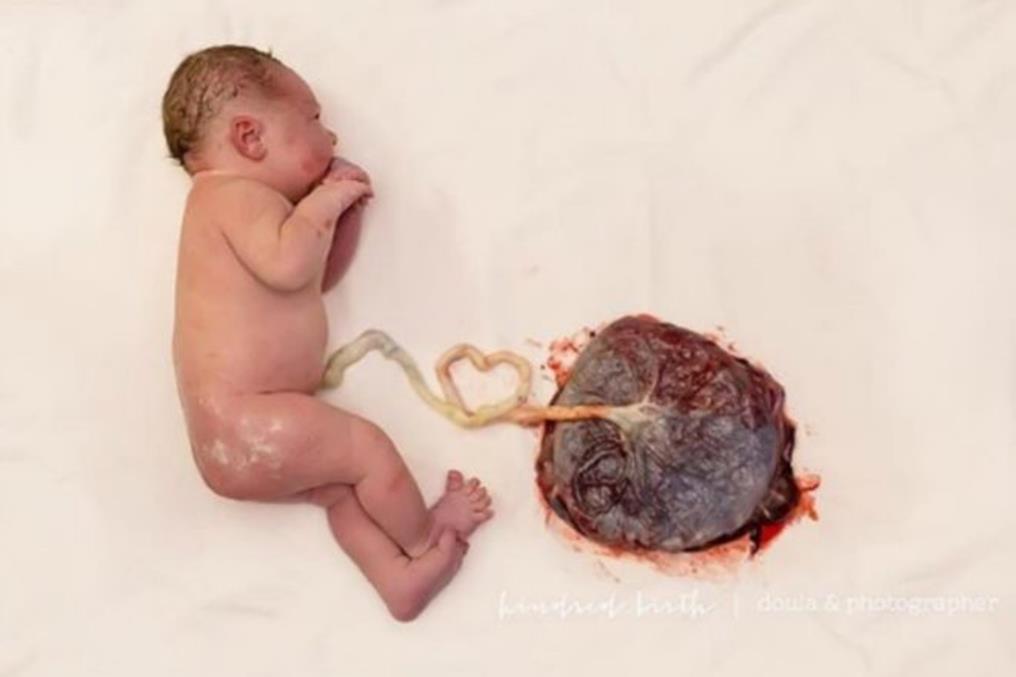 Baby and Placenta How much would you guess the