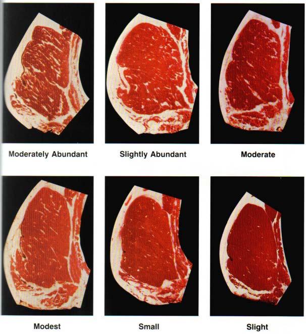 National Beef Quality Audits Consistently identify two top beef quality problems, Which are: