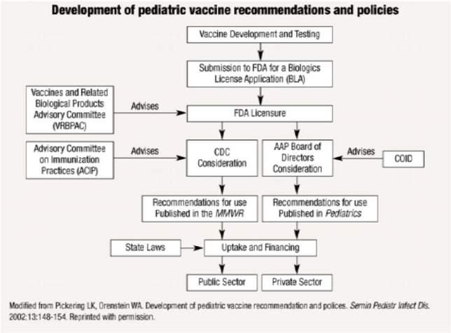 Currently available rotavirus vaccines Rotarix (GSK) RotaTeq (Merck) Origin Human monovalent Bovine pentavalent Strain G1, P(8) G1, G2, G3, G4, P(8) Vaccine course 2 doses - oral 3 doses - oral
