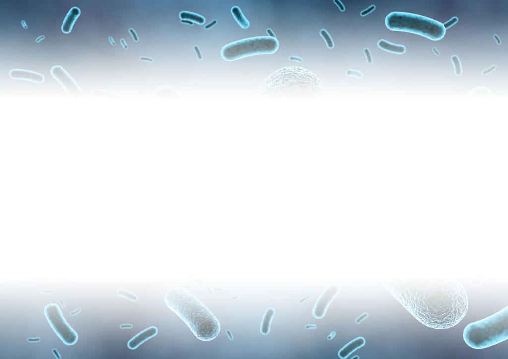 API TEST OF LACTOBACILLI ISOLATED FROM TOP