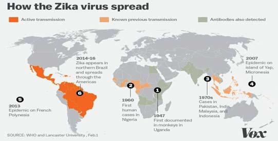 Zika virus spreads across the Globe