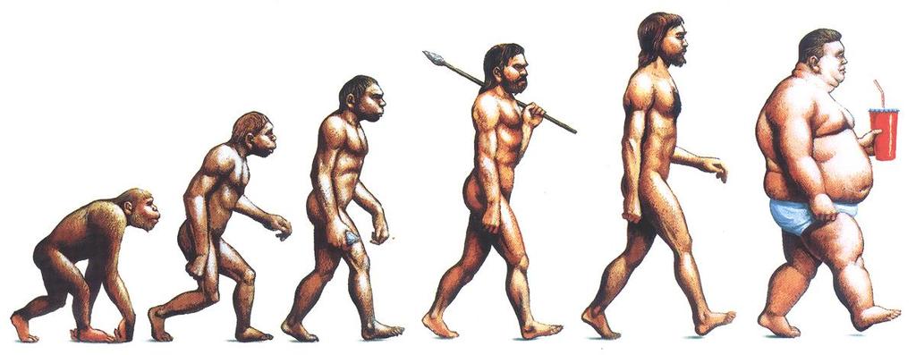 The evolution of man Human Banker evolution
