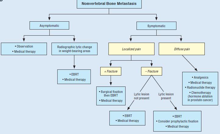 Non Vertebral Bone Metastases 41