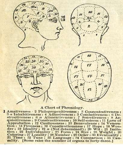 Franz Joseph Gall German physician and neuroanatomist Proposed 3 new theories: All
