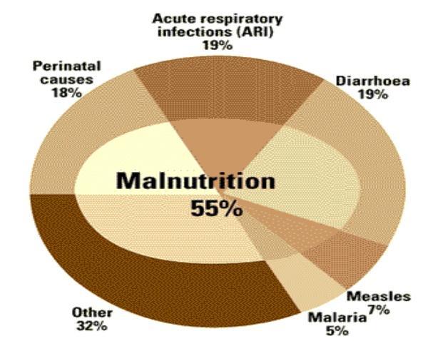 malnutrition 2 Proportional
