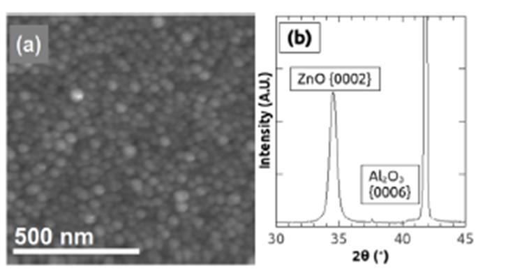Figure 2.5 (a) SEM and (b) XRD of ZnO film deposited with HiPIMS on a sapphire substrate. Reproduced with permission from [48]. Neither Konstantinidis, Hemberg and Dauchot s nor Partridge et al.
