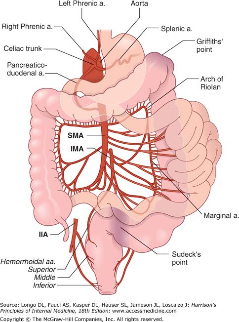 Colonic Ischemia Griffith s point Sudeck s point - most commonly