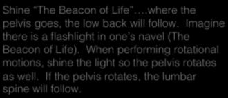 navel (The Beacon of Life).