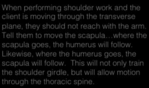 5/27/15 Insight: where the scapula goes When performing shoulder work and the client is moving through the transverse plane, they should not reach with