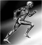 Under normal healthy conditions, in all gait actions, the foot goes through pronation. During the gait cycle, pronation starts the deceleration reaction.