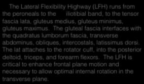 The Lateral Flexibility Highway (LFH) runs from the peroneals to the iliotibial band, to the tensor fascia