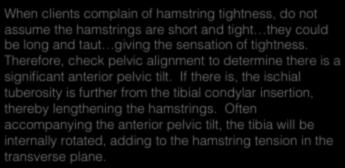 Insight: hamstrings - long & tight/short & tight?