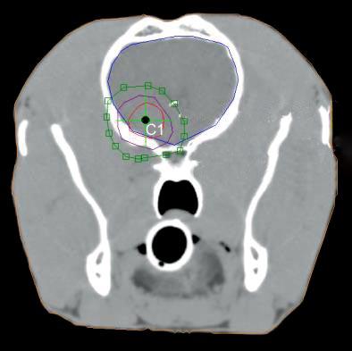 Figure 2. GTV, CTV and PTV drawn on the CT image of the dog s head.