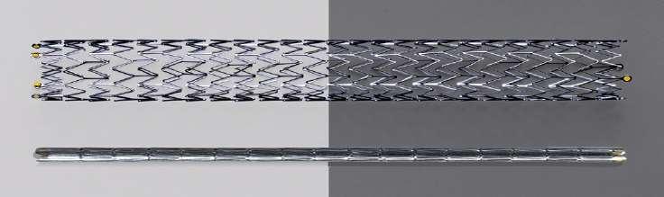 Zilver PTX Self-expanding nitinol stent No polymer or binder 3 µg/mm 2