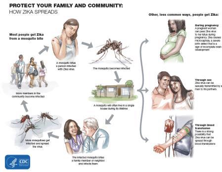 Transmission Mosquito bites Sexual transmission Cases reported of Zika confirmed disease in patients without travel but sexual contact with persons with Zika Zika