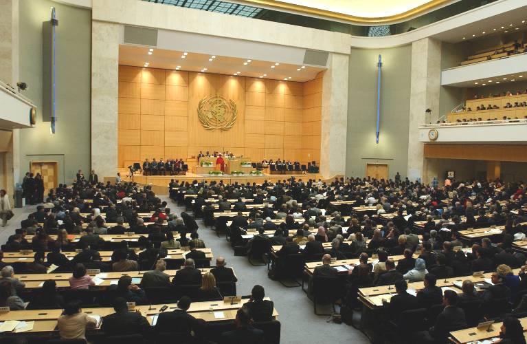 In 2005, the 58th World Health Assembly adopted