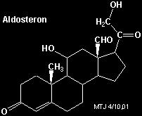 Steroid hormones Aldosteron