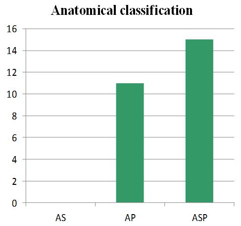 Anatomical Classification Anatomical Classification Number Of Patients Percentage As 0 0% Ap 11 42.3% Asp 15 57.