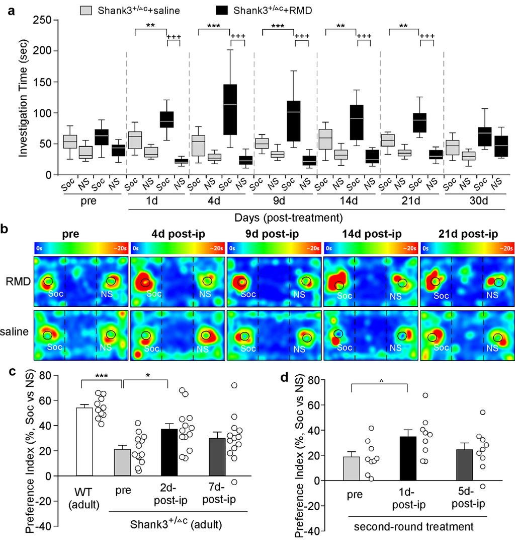 Supplementary Figure 1 Romidepsin treatment leads to the sustained increase of social interaction time and social preference in young Shank3- deficient mice.