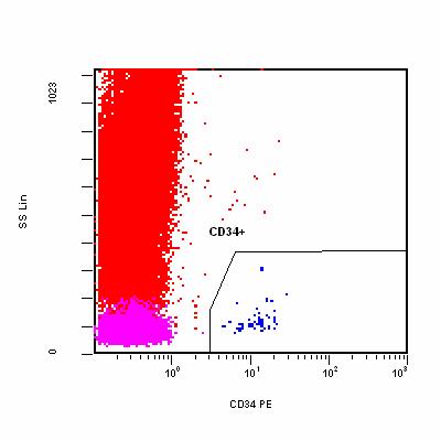 CD34 Enumeration = Rare Event Analysis: ISHAGE (Boolean) Gating The third gate focuses on CD34+