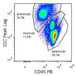 CD8 FITC on NK-cells (CD3-,