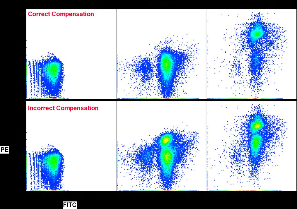 Complex Interactions in Compensation