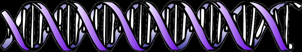 Human Genome Project The project to sequence the human genome evolved from a DoE sponsored meeting in