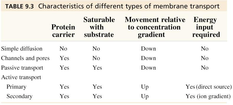 Characteristics of membrane transport. Small uncharged molecules can diffuse across membranes.